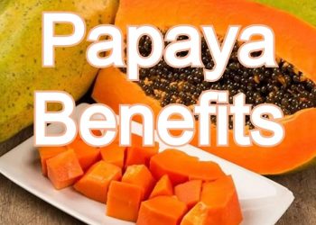 papaya-benefits:-पाचन-ठीक-रखने-से-लेकर-इम्यूनिटी-बढ़ाने-तक-में-पपीता-फायदेमंद-है,-जानें-इसे-खाने-के-फायदे