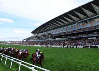 royal-ascot-steward-in-hospital-after-being-kicked-in-the-head-by-horse