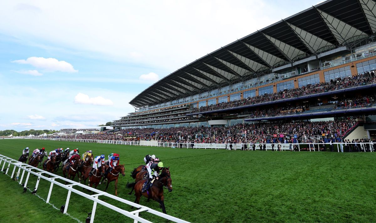 royal-ascot-steward-in-hospital-after-being-kicked-in-the-head-by-horse