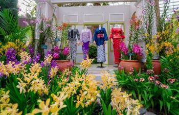 malaysia’s-orchid-takes-stage-at-gardens-by-the-bay-singapore