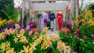 malaysia’s-orchid-takes-stage-at-gardens-by-the-bay-singapore