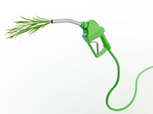 world-biofuel-day-2023:-theme,-history,-importance-&-future-of-biofuel