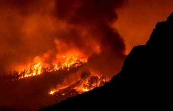 wildfire-on-spain’s-tenerife-island-spreads-to-over-4.4-acres