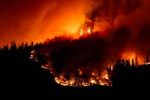 state-of-emergency-in-canada’s-british-columbia-due-to-forest-fires