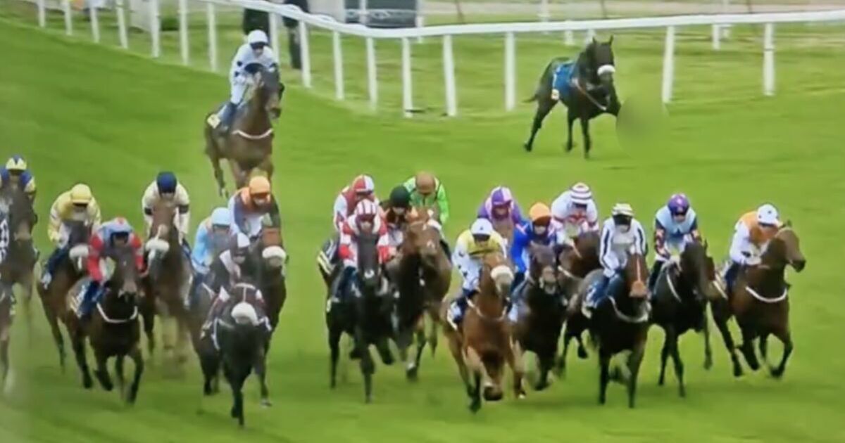 horse-dies-after-grim-injury-at-york-racecourse-as-viewers-sickened