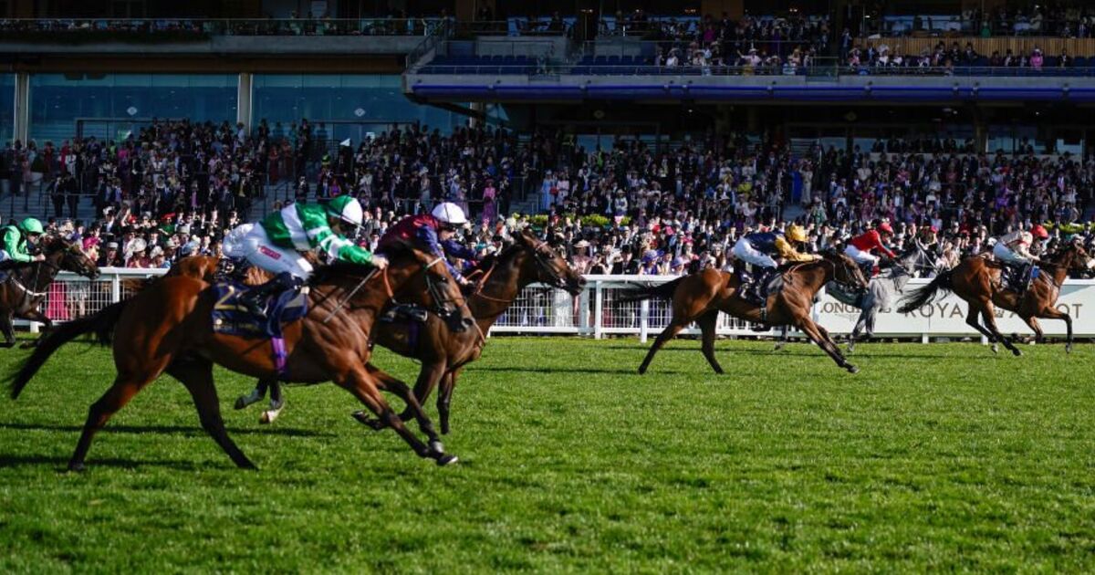 royal-ascot-tips-for-thursday-as-day-three-favours-gregory-and-diamond-rain