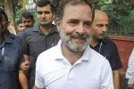 rahul-pens-letter-to-people-of-wayanad,-says-their-love-protected-him