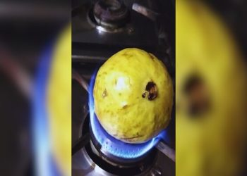 roasted-guava:-भुने-हुए-अमरूद-खाने-के-4-सबसे-बड़े-और-अद्भुत-फायदे