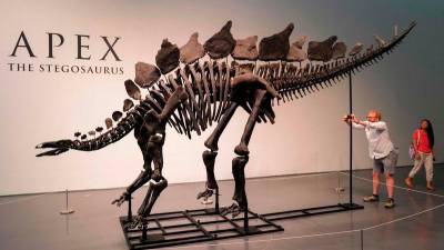 dinosaur-skeleton-breaks-auction-record-with-$44.6-million-sale