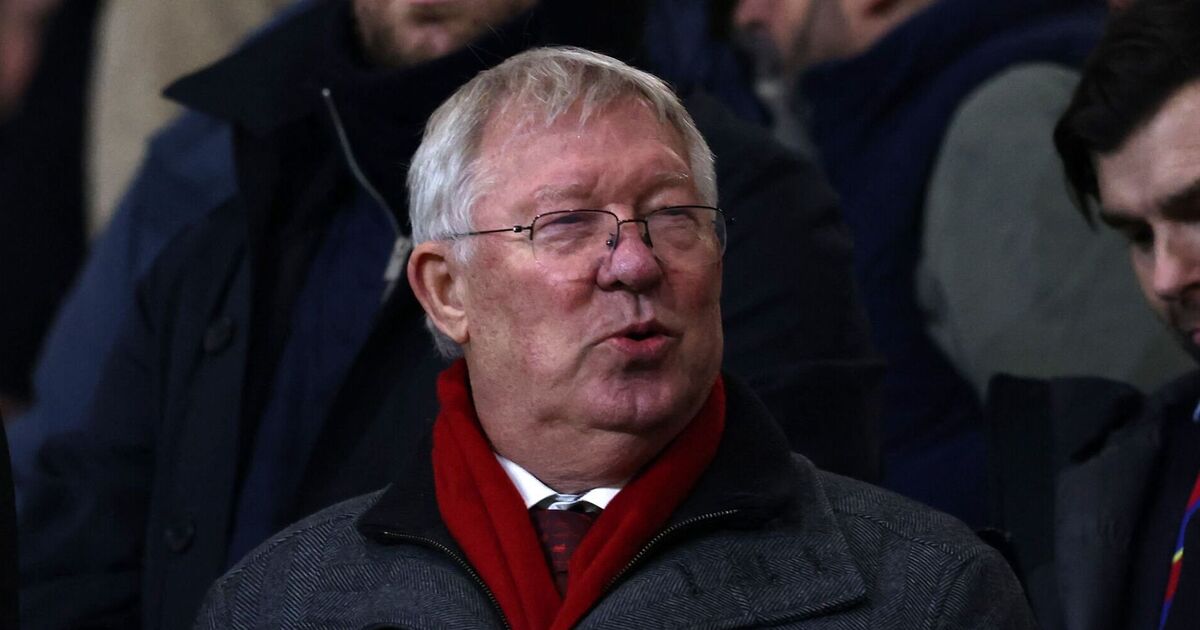 sir-alex-ferguson-ambition-clear-after-paying-record-price-for-racehorse-–-again