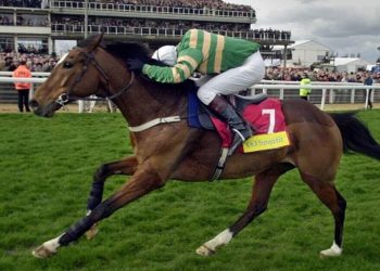 istabraq-dies-aged-32-as-jp-mcmanus-mourns-loss-of-cheltenham-icon