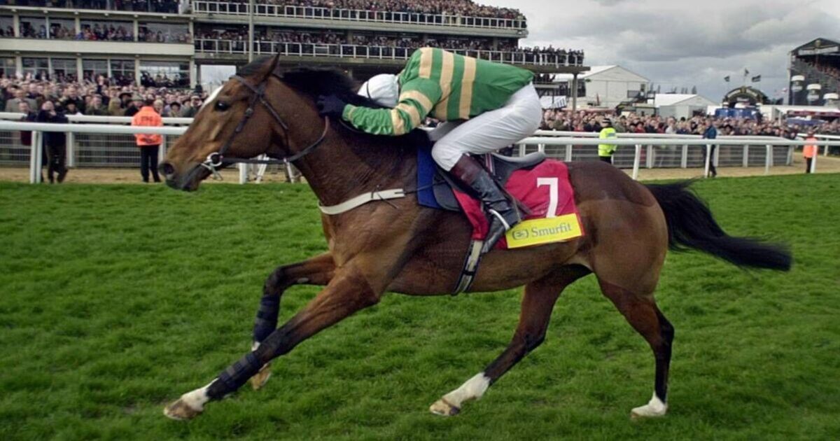 istabraq-dies-aged-32-as-jp-mcmanus-mourns-loss-of-cheltenham-icon