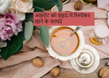 walnut-and-honey-benefits:-अखरोट-को-शहद-में-भिगोकर-खाने-के-चार-सबसे-बड़े-फायदे