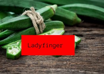 benefits-of-ladyfinger:-भिंडी-में-छिपा-है-सेहत-का-राज,-जानिए-इसके-फायदे