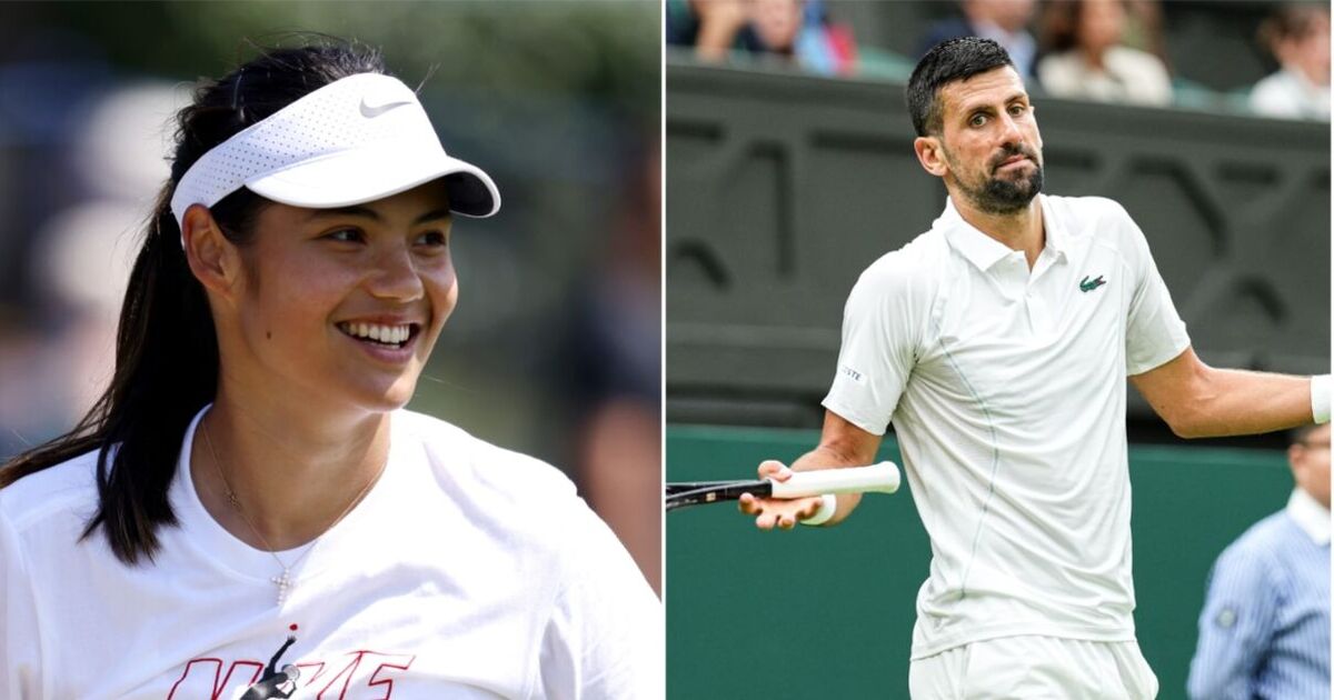 wimbledon-live:-all-play-suspended-at-sw19-as-novak-djokovic-escapes-rule-breach