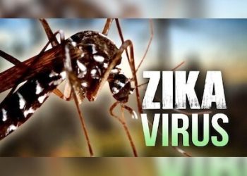 centre-issues-zika-advisory-to-states-amid-detection-of-cases-in-maha