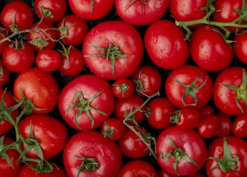 tomato:-टमाटर-शतक-जड़ने-को-तैयार,-दिल्ली-से-लगा-रहा-है-हुंकार