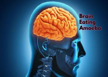 brain-eating-amoeba:-अमीबा-कैसे-दिमाग-में-प्रवेश-करता-है?-डॉक्टर-से-जानिए-कैसे-इससे-बचा-जा-सकता-है