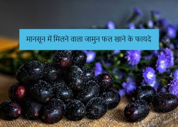 jamun-fruit:-मानसून-में-मिलने-वाला-जामुन-फल-खाने-के-ये-हैं-गजब-के-फायदे