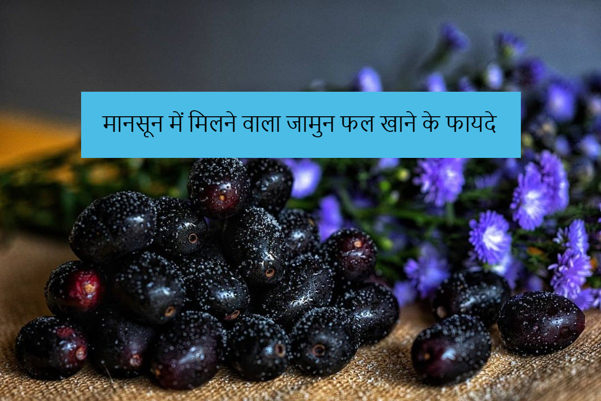 jamun-fruit:-मानसून-में-मिलने-वाला-जामुन-फल-खाने-के-ये-हैं-गजब-के-फायदे