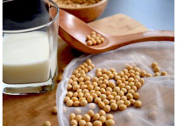 soy-milk-benefits:-सोया-मिल्क-के-फायदे-और-स्वास्थ्य-पर-असर