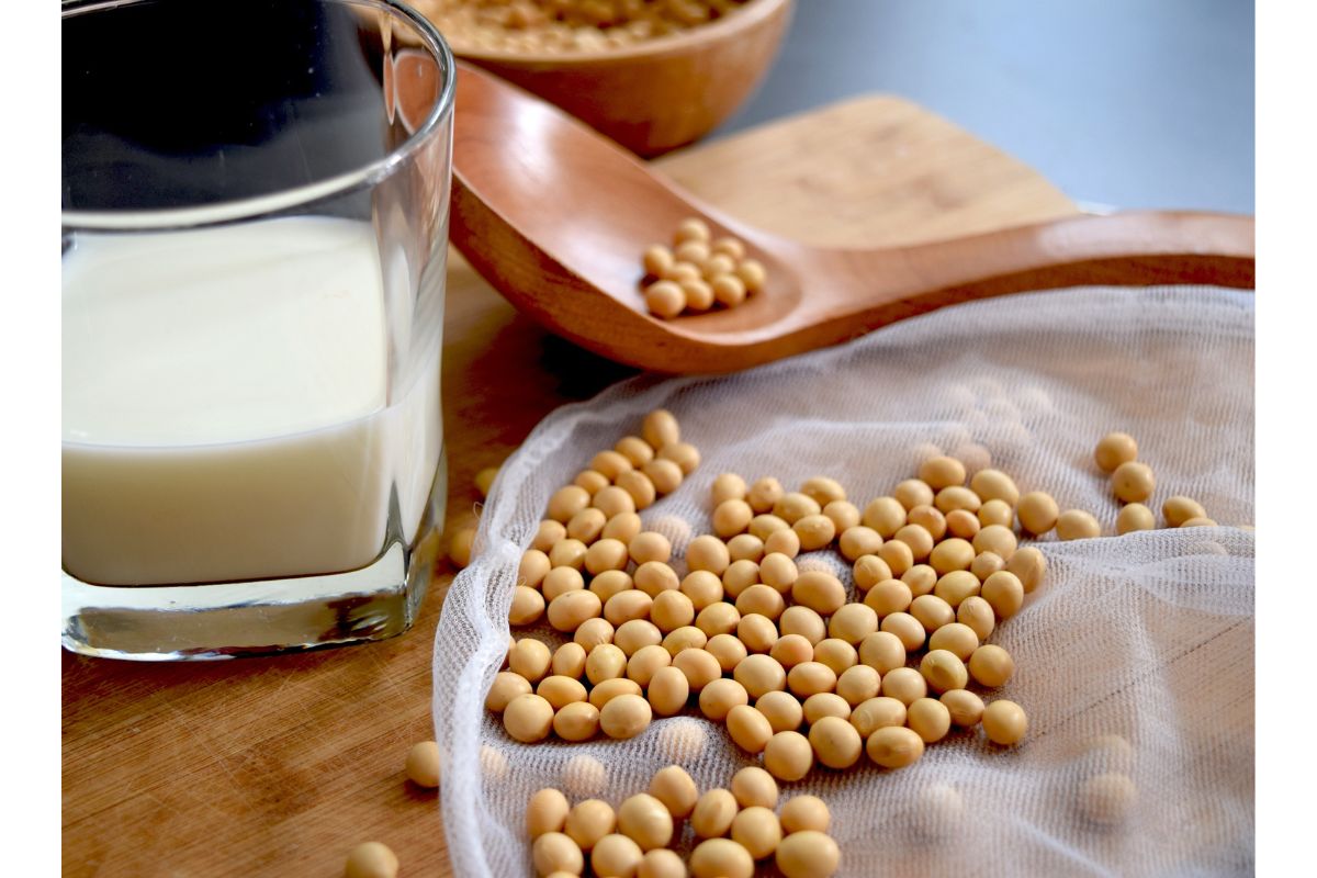 soy-milk-benefits:-सोया-मिल्क-के-फायदे-और-स्वास्थ्य-पर-असर