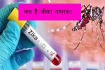 zika-virus:-ज़ीका-वायरस-के-कारण,-लक्षण-और-उपचार-को-जाने