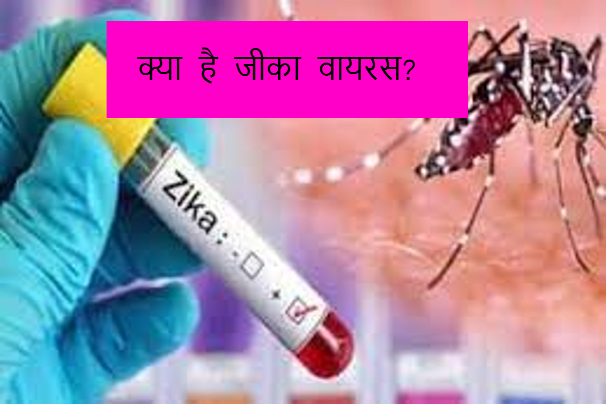 zika-virus:-ज़ीका-वायरस-के-कारण,-लक्षण-और-उपचार-को-जाने