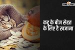 pumpkin-seeds:-कद्दू-के-बीज-को-खाने-के-5-फायदे