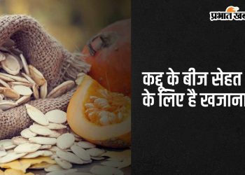 pumpkin-seeds:-कद्दू-के-बीज-को-खाने-के-5-फायदे