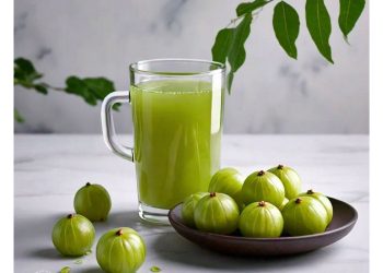 amla-juice-benefits:-आंवला-का-रस-पीने-के-फायदे-और-इसे-बनाने-का-तरीका